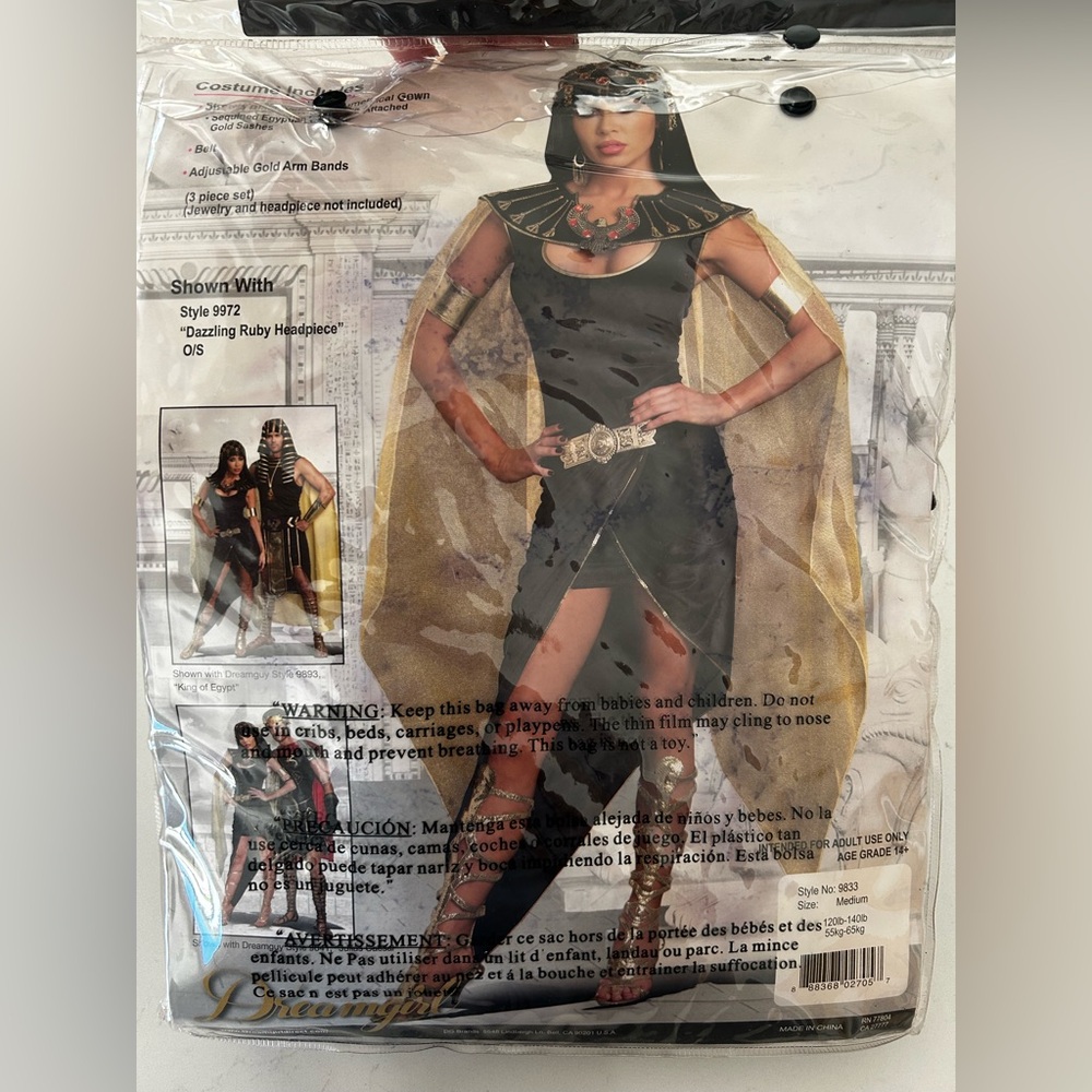 Black and Gold Costume with Accessories